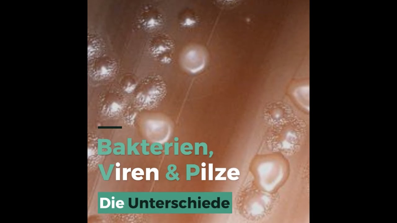 Wie Lange überleben Hiv Viren Im Blut An Der Luft