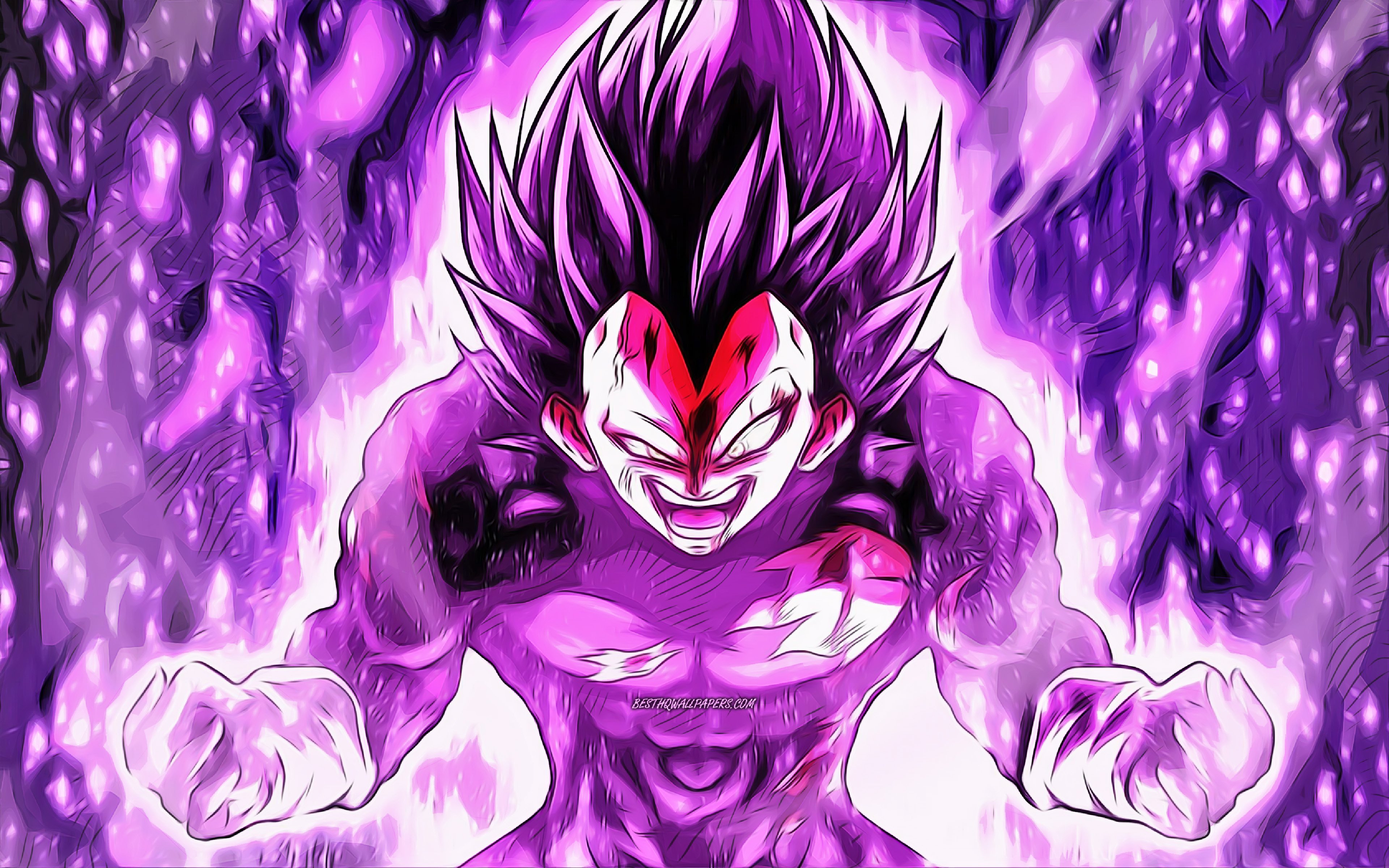 Vertragsstaates Des Abkommens über Den Europäischen Wirtschaftsraum Vegeta Wallpaper 4k Hd - Infoupdate.org