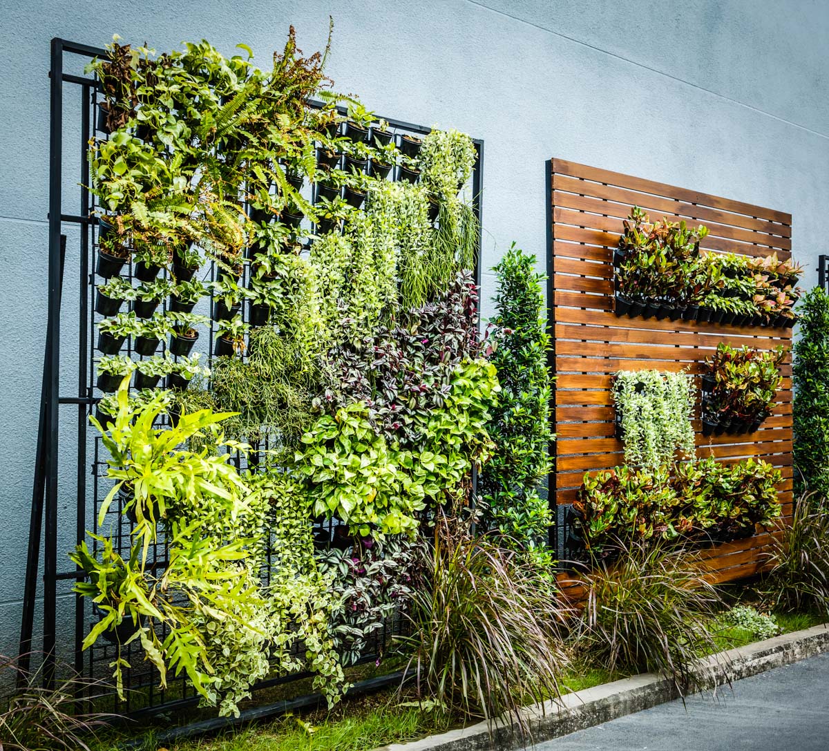 Pflanzen-kölle Gartencenter Gmbh & Co. Kg Wiesbaden Vertical gardens are the key to self-sufficiency in the city