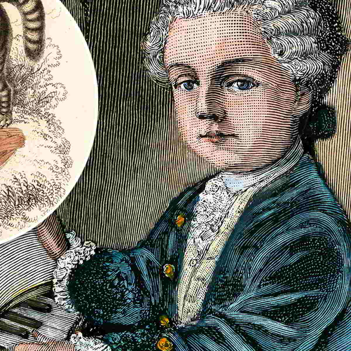 Steckbrief über Wolfgang Amadeus Mozart Волфганг Амадеус Моцарт – подробна биография