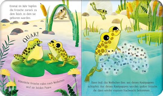 Vom Laich Zum Frosch Arbeitsblatt Lösungen Vom Laich zum Frosch (Schau mal, wie ich wachse!) by Lesley Sims