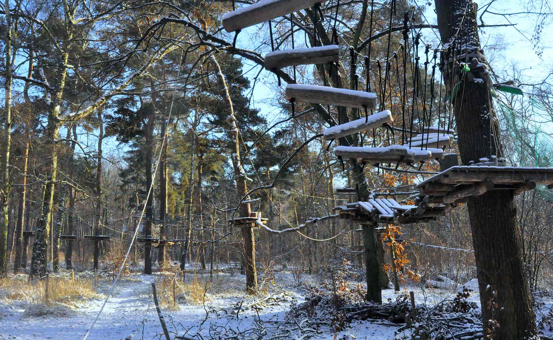Waldhochseilgarten Jungfernheide Heckerdamm 260 13627 Berlin
