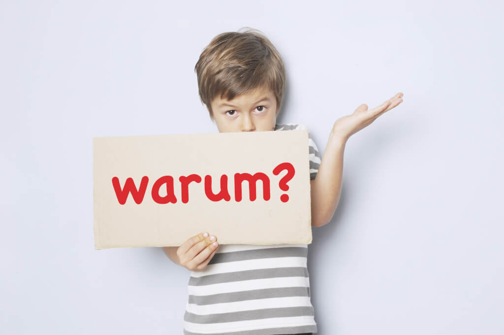Warum Muss Man Hundesteuern Zahlen Warum das Warum wichtig ist