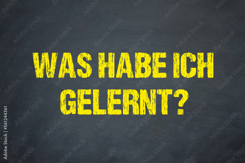 Ich Habe Gehört Ihr Wollt Nichts Lernen Was habe ich gelernt? Stock Illustration | Adobe Stock
