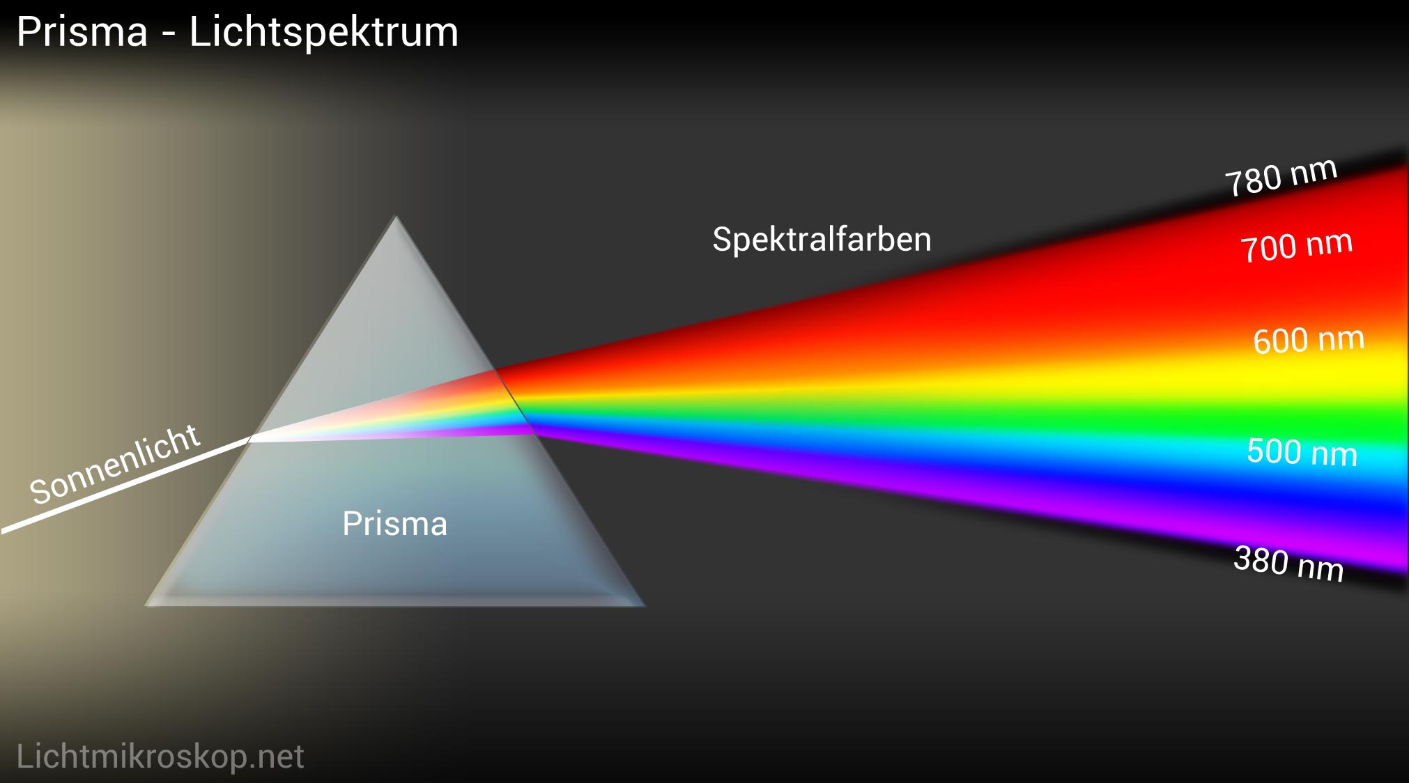 Optik Jahn Bergisch Gladbach Hörakustik & Optiker