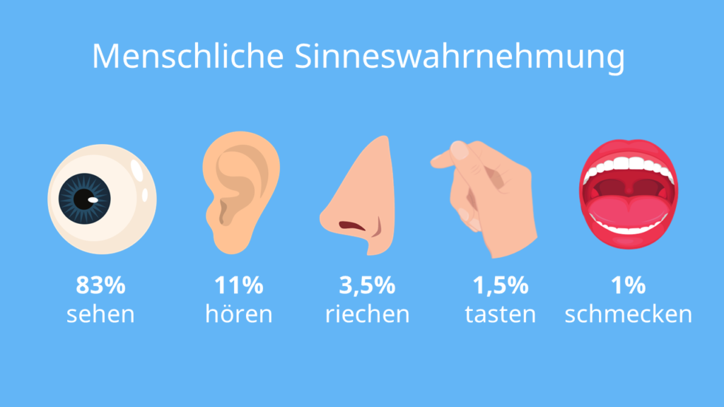 Wahrnehmen Und Beobachten In Der Pflege Wie deine Wahrnehmung dein Konfliktverhalten steuert