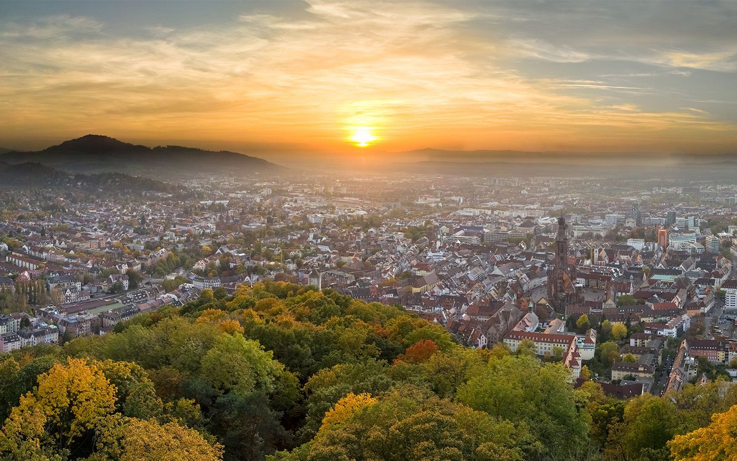 Freiburg Sushi All You Can Eat Willkommen in Freiburg │Tourismus
