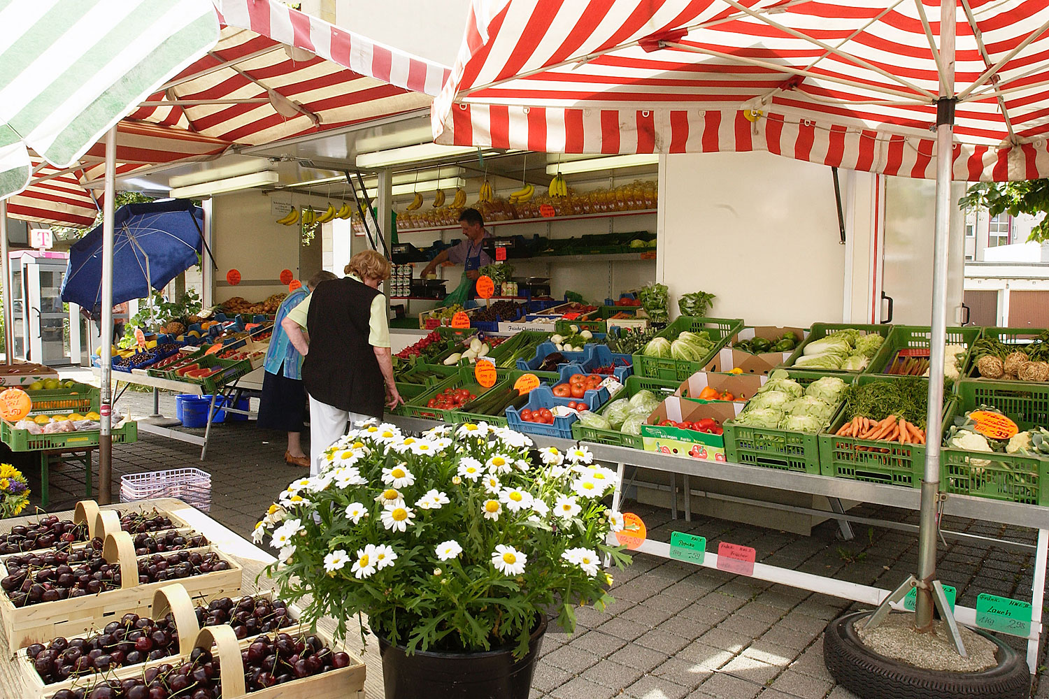 Wochenmarkt In Der Nähe Am Freitag Wochenmarkt Erlenstegen - Nürnberger Märkte