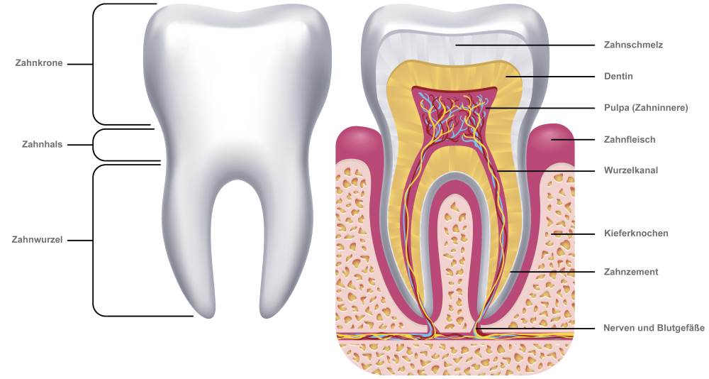 Zahnärzte In Der Nähe Jetzt Geöffnet Zahnerhaltung - Endodontie - Zahnarztpraxis Dr. Köhler in Albstadt