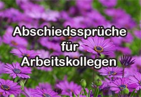 Abschied Bestattungen Kramer Und Freilinger Gbr