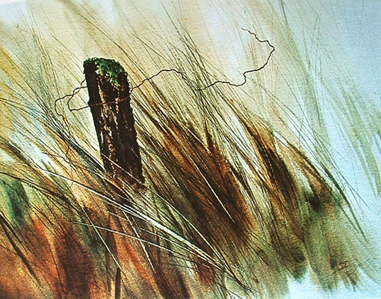 Hautarztpraxis Dr. Med. Zoltan Szabo Rezensionen Zoltan Szabo watercolors - Painting and Artists